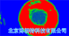 焊接铆钉检测原理